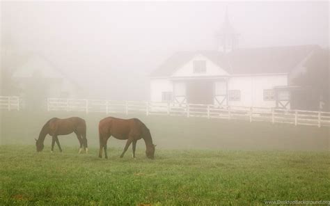 Kentucky Horse Farms Wallpapers Desktop Background