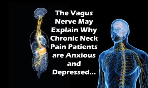 The Vagus Nerve Neck Pain Headaches And Anxiety Regenexx Blog