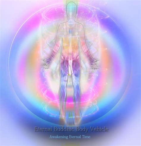 Energy Field Of The Body