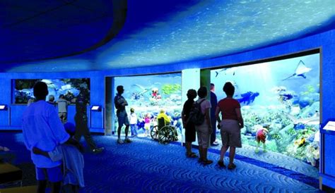 National aquarium membership is the gift your loved ones can open again and again! Baltimore Neighborhood Guide: 10 Fun Things To Do