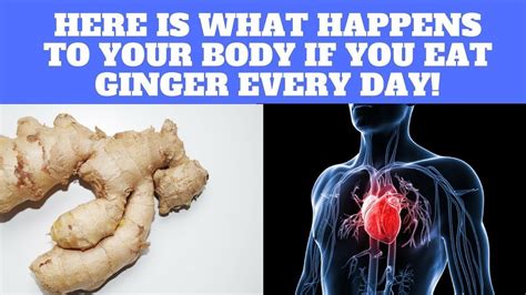 Here Is What Happens To Your Body If You Eat Ginger Every Day Ginger Has Been A Part Of