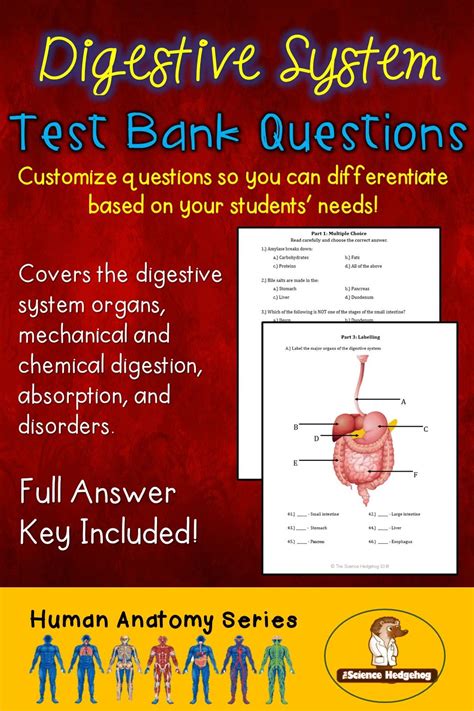Digestive System Test Questions Include Over 100 Questions You Can