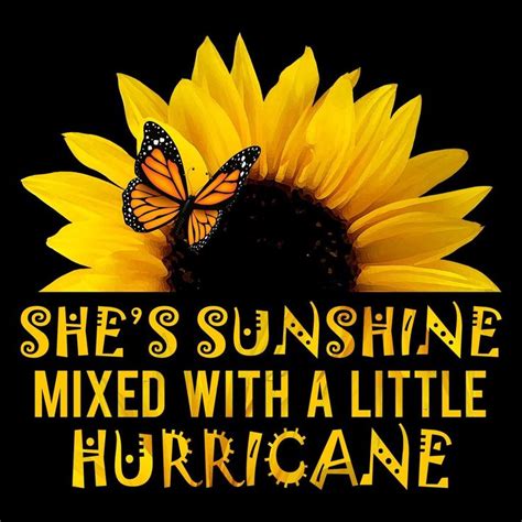 Cute Quotes About Sunflowers Ideas Mdqahtani