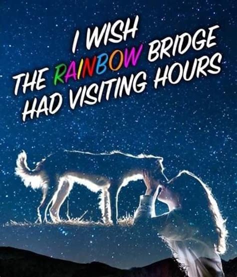 Maybe you would like to learn more about one of these? Pin by Tammy Hosey on FURBABY HEAVEN in 2020 | Rainbow ...