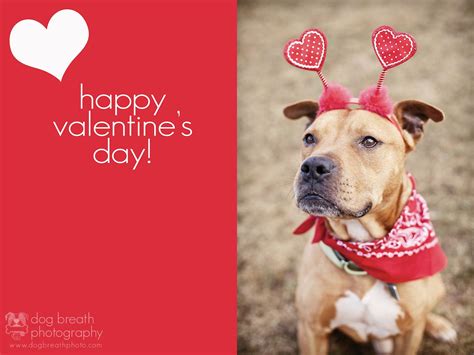 Love Pits Happy Valentines Day Dog Breath Valentines