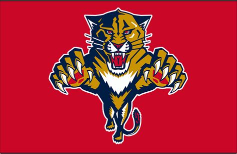 10 Florida Panthers Hd Wallpapers And Backgrounds