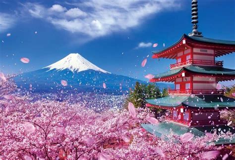 Điểm Qua Những Hình ảnh đẹp ở Nhật Bản đầy ấn Tượng