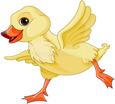 Baby Duck Stock Vector Illustration Of Nature Cartoons