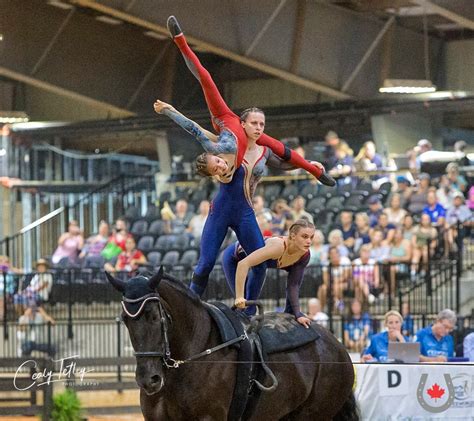 Vaulting Top 10 Fei World Equestrian Games The Rider