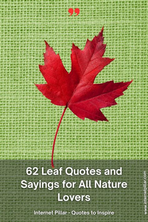 62 Leaf Quotes And Sayings For All Nature Lovers Leaf Quotes Nature