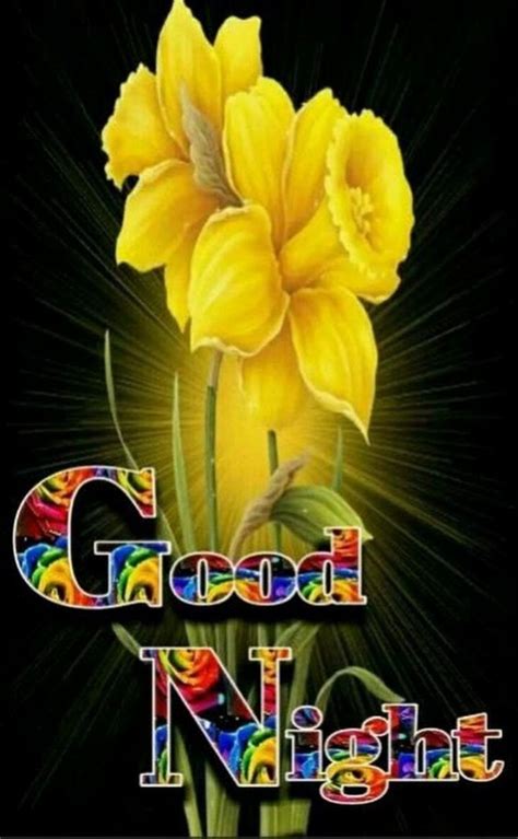 A Yellow Flower With The Words Good Night Written In Rainbow Letters On It And An Image Of Two