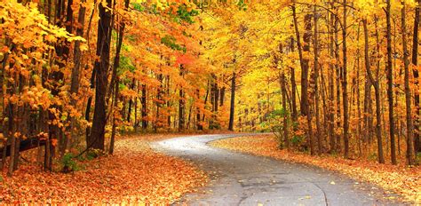 6 Best Fall Foliage Drives In Western Pennsylvania