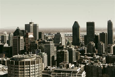 Cityscape view of the skyscrapers in Montreal, Quebec image - Free ...