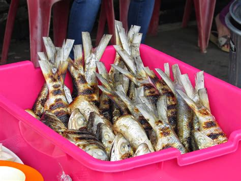 Jul 21, 2021 · meski dapat jatah daging kurban satu per tiga shohibul kurban tak boleh dijual selasa, 20 juli 2021 21:39 namun ada yang perlu diingat, bahwa orang yang berkurban tidak boleh menjual kurban bagiannya, baik dalam bentuk daging, bulu, maupun kulit. Foto Festival SOP Saudara Pangkep - Stock gambar gratis ...