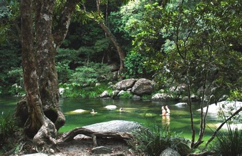 4 Incredible Rainforest Walks Near Cairns Fitzroy Island