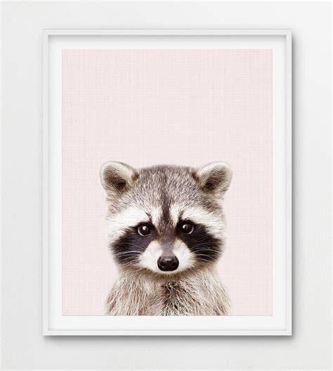 Raccoon Print Woodland Nursery Decor Baby Animals Blush Etsy