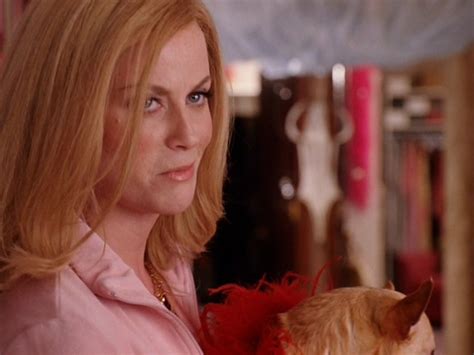 Amy In Mean Girls Amy Poehler Image 7197533 Fanpop