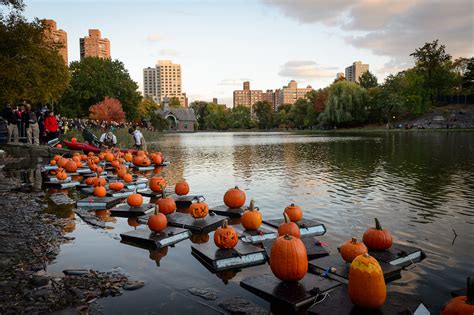 Halloween In Nyc Guide Highlighting The Spookiest Fall Events