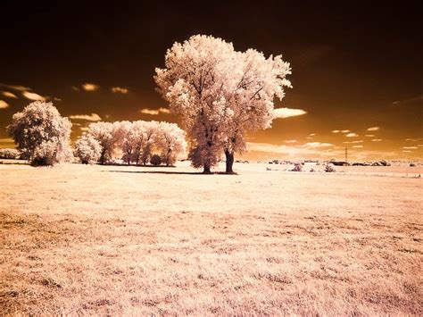 How To Do Infrared Photography With Basic Camera Gear Expertphotography