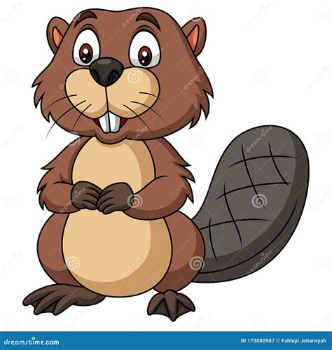 Beaver Cartoons Illustrations And Vector Stock Images 11096 Pictures