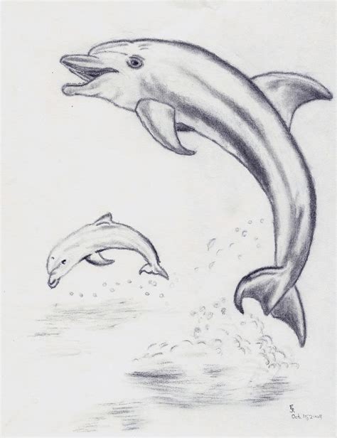 Dolphins Jumping From Water By Brellmaccahon On Deviantart