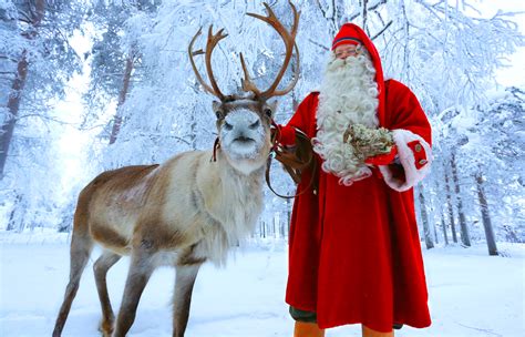 Photo Santa Claus Reindeer In Santa Claus Village On Arctic Circle
