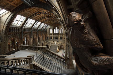 Inside The Natural History Museum London 1600×1067 Photographed By
