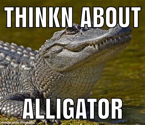 Alligator Rmemes