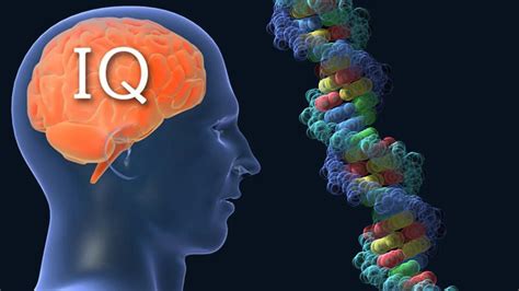 Does Dna Influence Iq And Behavior
