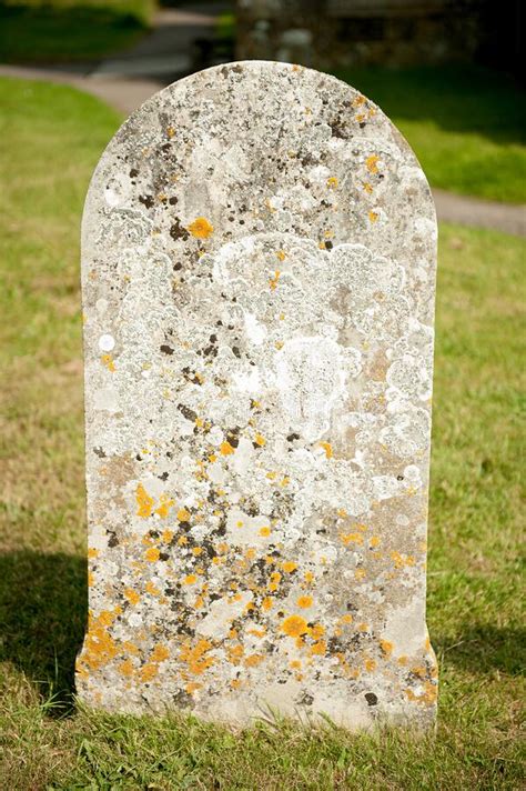 Old Unmarked Headstone On Grass Stock Photo Image Of Marble Stone
