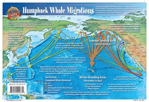 Buy Franko Maps Pacific Humpback Whale Migration Card Divers Supply