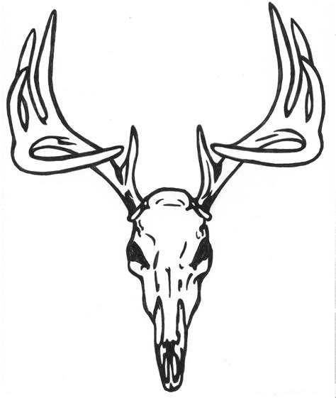 Pin By Tosha Sherlin On Body Art Deer Skull Tattoos Animal Skull