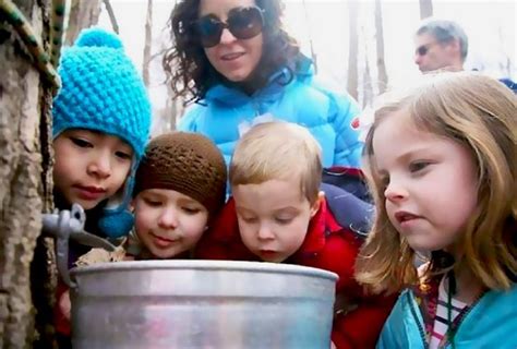 Westchester Hudson Valley Maple Sugaring Events Mommy Poppins