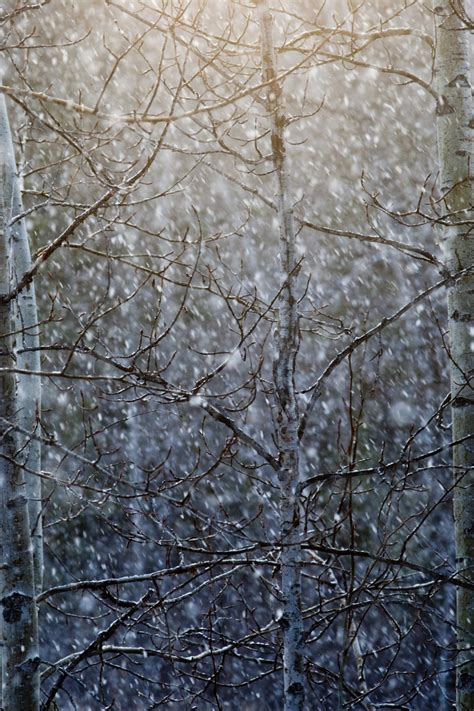 Snowstorm The Sunshine Breaks Through Christopher Martin Photography