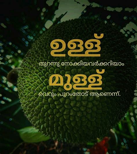 Find here best malayalam love quotes, love messages, status, pranayam sms, sad love wishes in malayalam for girlfriend, wife, husband etc. Pin by ¶$¥¢h0 on മലയാളം ചിന്തകൾ | Malayalam quotes, Typographic quote, Life quotes