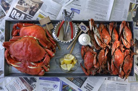 Are Dungeness Crabs Better Than Blue Crabs 2022 Qaqookingwiki