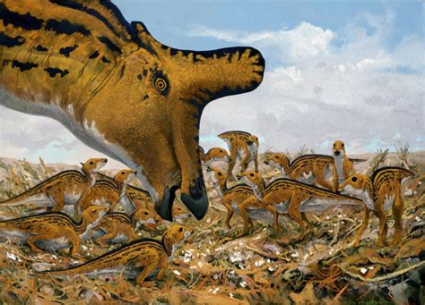 Triassic ∆ Jurassic ∆ Cretaceous