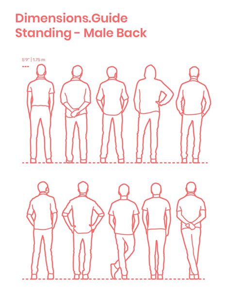 Standing Male Back Human Figure Sketches Drawing People Posture