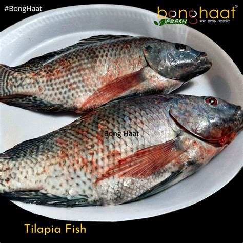 Buy Tilapia Fish Online From Bong Haat Fresh Bengali Fish Online