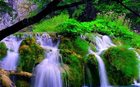 Forest Waterfalls Wallpapers Hd Desktop And Mobile Backgrounds