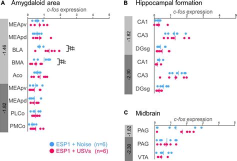 Expression Levels Of C Fos Mrna In The Amygdala A Hippocampus B