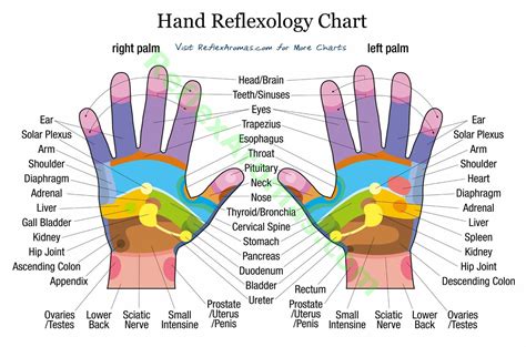 Hand Reflex Chart 1685×1114 Reflexología Energy Healing