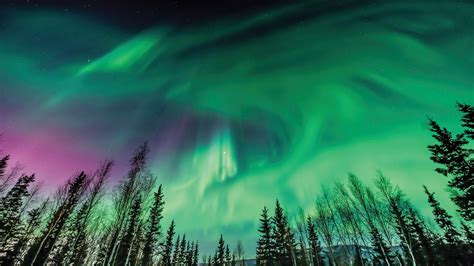 How To Chase The Northern Lights Across The Arctic Virtuoso