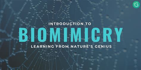 Introduction To Biomimicry Learning From Natures Genius Genspace