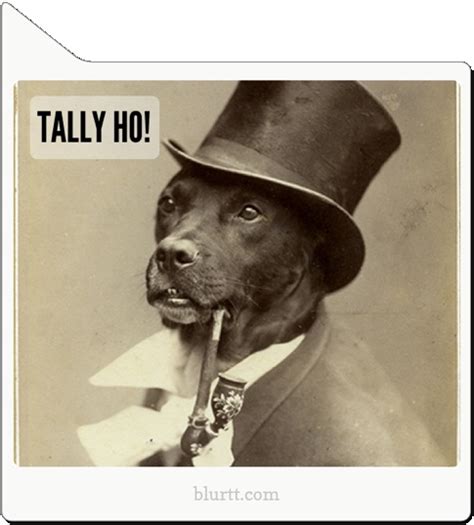 13 Best Dogs Wearing Top Hats Images On Pinterest Top Hats Funny