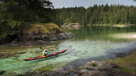 Orca Kayaking Tour Vancouver Island Sea Kayak Adventures