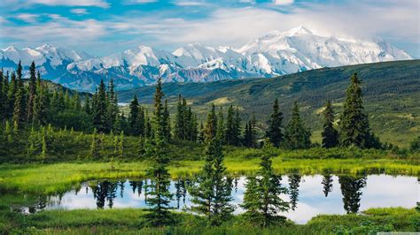Green Pine Trees Alaska Nature Landscape Mountains Water