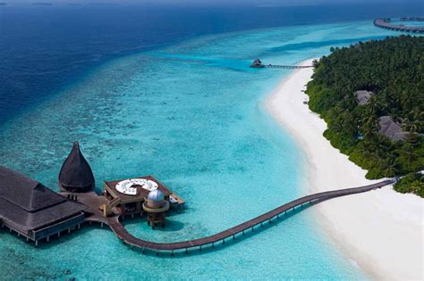 Best House Reefs In The Maldives Zublu
