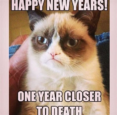 Grumpy Cat Happy New Years One Year Closer To Death Animals