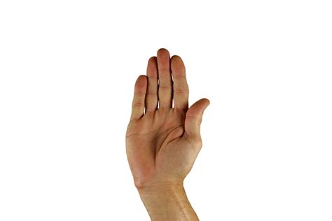 Stop Hand Png